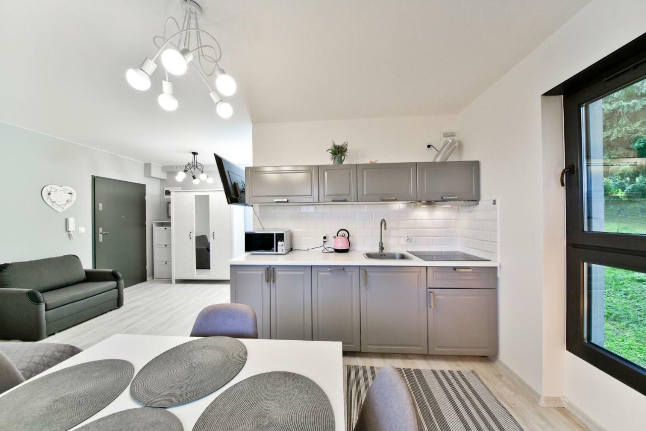 Apartament Szarotka - Apartamentuj Karpacz Buitenkant foto